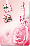 Terminkarte "duftende Rose"