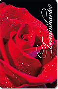 Terminkarte "einsame Rose"